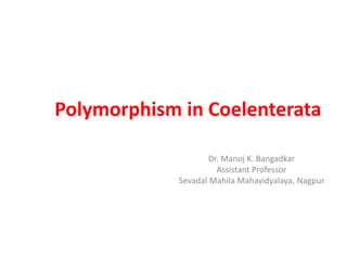 Polymorphism in Coelenterata
Dr. Manoj K. Bangadkar
Assistant Professor
Sevadal Mahila Mahavidyalaya, Nagpur
 