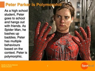 Spotle.ai Study Material
Spotle.ai/Learn
3
Peter Parker Is Polymorphic
As a high school
student, Peter
goes to school
and hangs out
with friends. As
Spider Man, he
bashes up
baddies. Peter
has multiple
behaviours
based on the
context. Peter is
polymorphic.
 