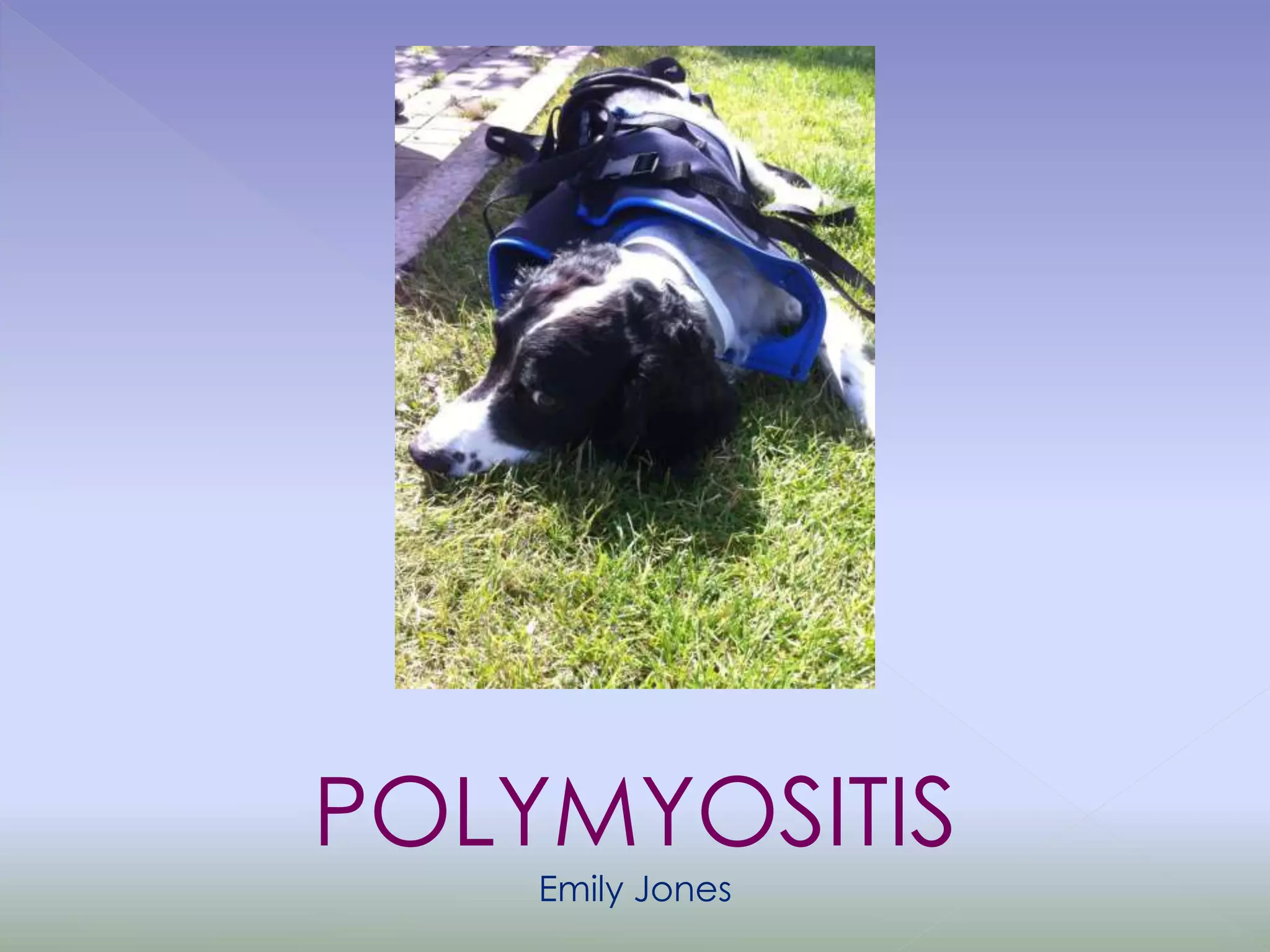 POLYMYOSITIS
Emily Jones
 