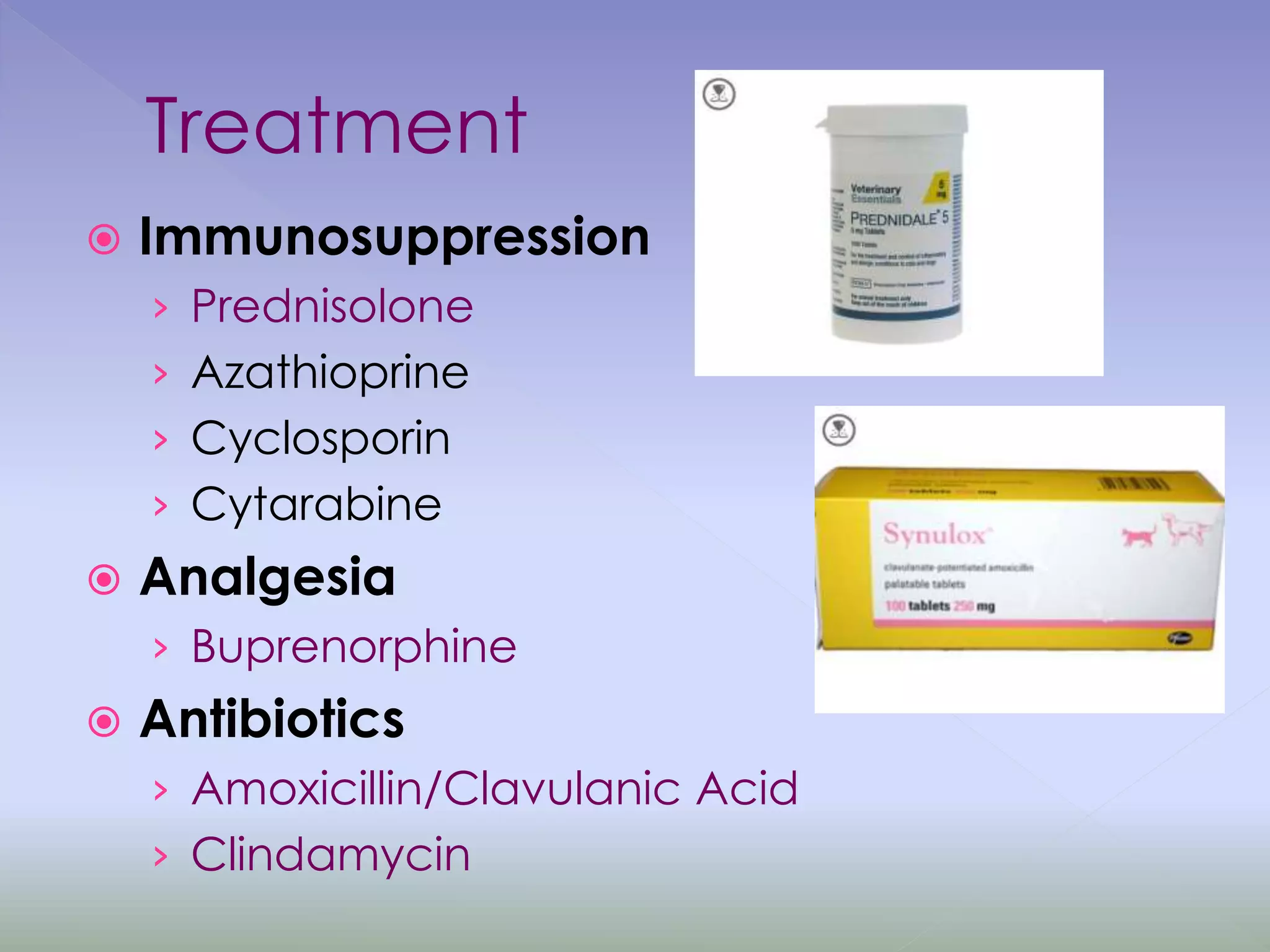 Treatment
 Immunosuppression
› Prednisolone
› Azathioprine
› Cyclosporin
› Cytarabine
 Analgesia
› Buprenorphine
 Antibiotics
› Amoxicillin/Clavulanic Acid
› Clindamycin
 