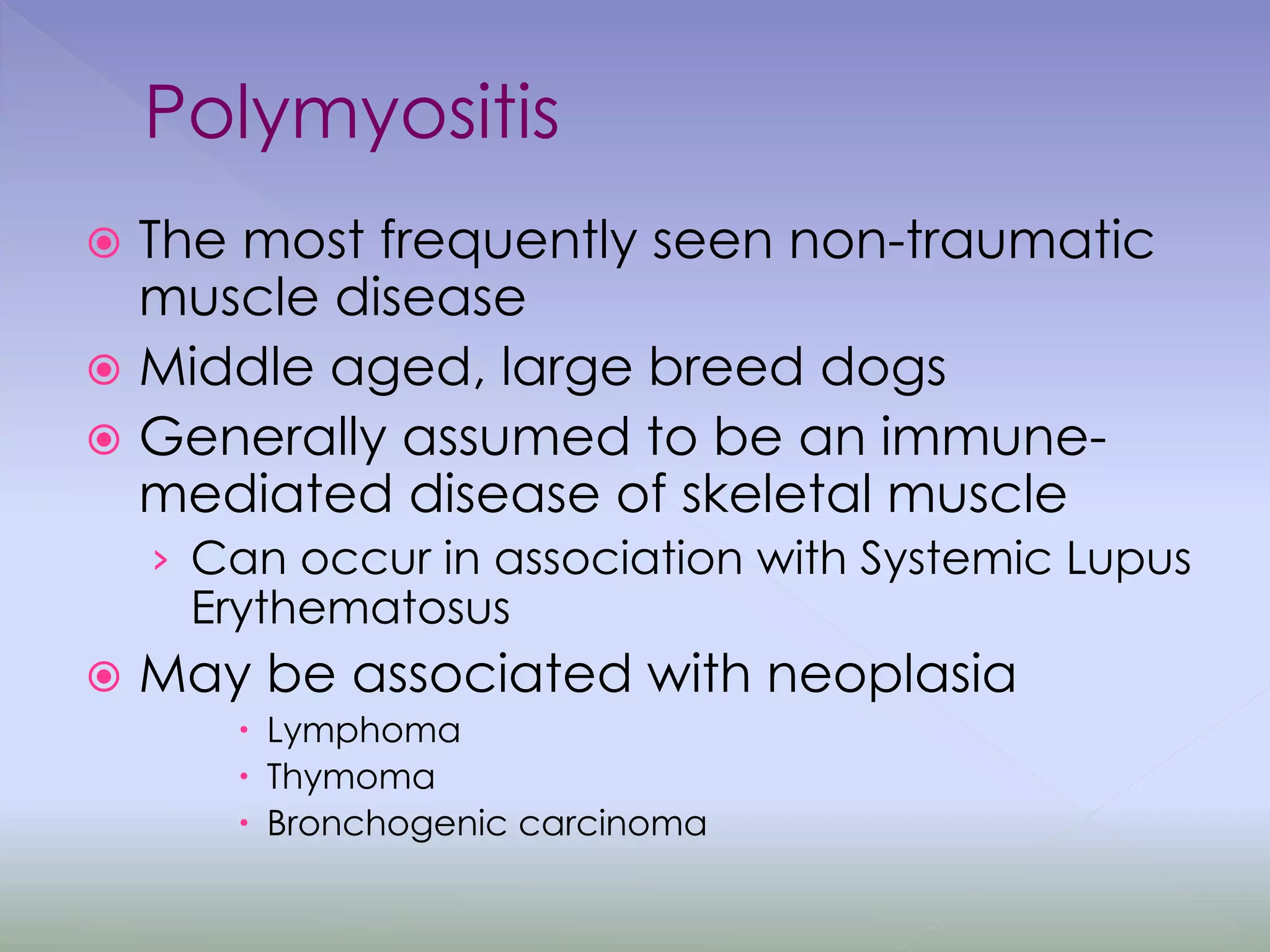 Polymyositis
 The most frequently seen non-traumatic
muscle disease
 Middle aged, large breed dogs
 Generally assumed to be an immune-
mediated disease of skeletal muscle
› Can occur in association with Systemic Lupus
Erythematosus
 May be associated with neoplasia
 Lymphoma
 Thymoma
 Bronchogenic carcinoma
 