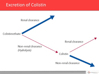 Excretion of Colistin




                        23
 