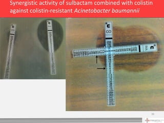 Synergistic activity of sulbactam combined with colistin
against colistin-resistant Acinetobacter baumannii




                                                       39
 