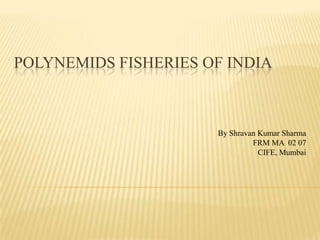 POLYNEMIDS FISHERIES OF INDIA
By Shravan Kumar Sharma
FRM MA 02 07
CIFE, Mumbai
 