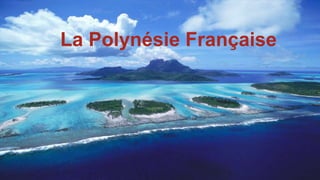 La Polynésie Française 
 