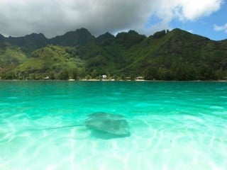 Polynesie francaise ad1