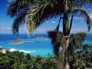 Polynesie francaise ad1