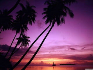 Polynesie francaise ad1