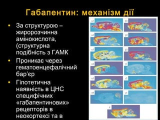 Габапентин: механізм діїГабапентин: механізм дії
• За структурою –За структурою –
жиророзчиннажиророзчинна
амінокислота,амінокислота,
(структурна(структурна
подібність з ГАМКподібність з ГАМК
• Проникає черезПроникає через
гематоенцефалічнийгематоенцефалічний
барбар’’єєрр
• ГіпотетичнаГіпотетична
наявність в ЦНСнаявність в ЦНС
специфічнихспецифічних
«габапентинових»«габапентинових»
рецепторів врецепторів в
неокортексі та внеокортексі та в
 