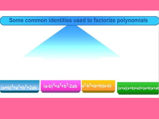 Polynomial  