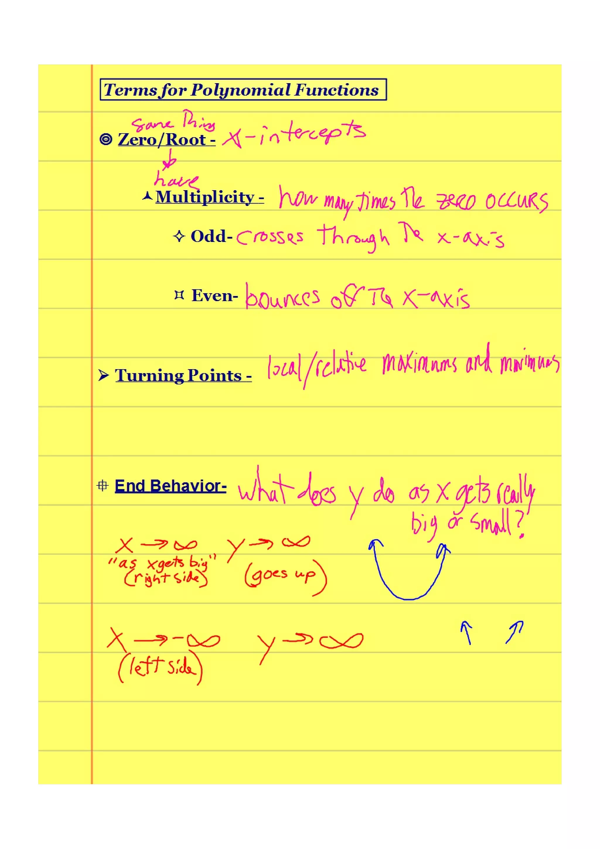 Polynomial Functions.pdf