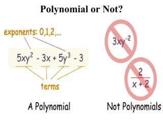 Polynomial for class 9 | PPT