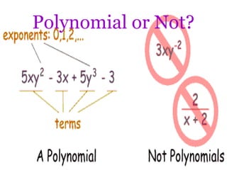 Polynomial or Not?
 