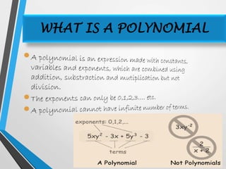 WHAT IS A POLYNOMIAL