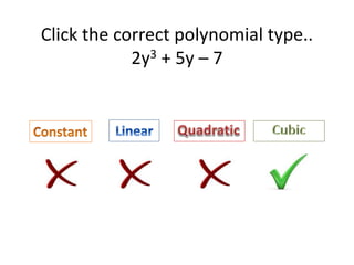 Click the correct polynomial type..
2y3 + 5y – 7
 