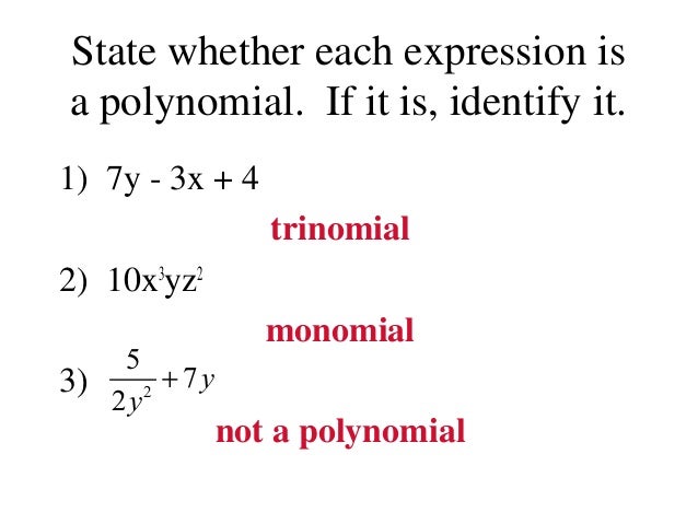 Polynomials Introduction