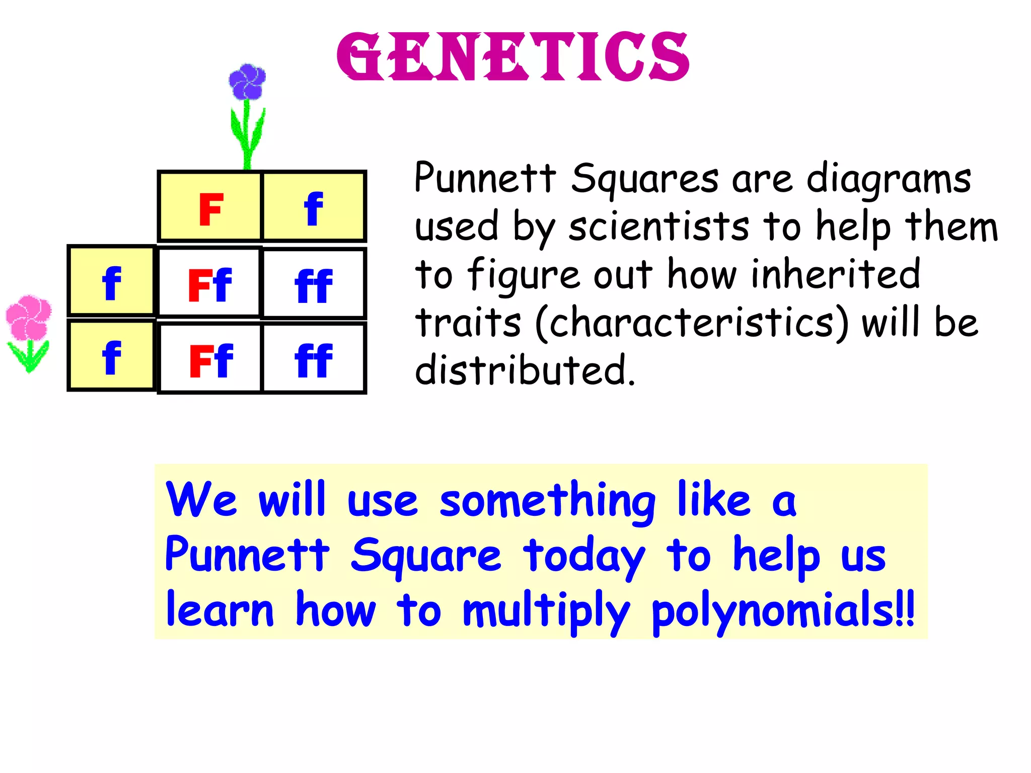 Genetics Punnett Squares are diagrams used by scientists to help them to figure out how inherited traits (characteristics) will be distributed. We will use something like a Punnett Square today to help us learn how to multiply polynomials!! F f f f F f F f ff ff