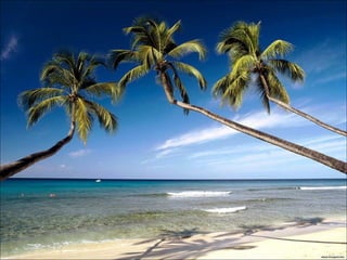 Polynésie française (με μουσική)