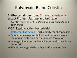 Polymyxin B and Colistin
• Antibacterial spectrum: Gm -ve bacteria only,
except Proteus, Serratia and Neisseria
– Colistin more potent in Pseudomonas, Shigella and
Salmonella
• MOA: Rapidly acting bactericidal
– Detergent like action – high affinity for phospholipids
– Orient between phospholipid and protein layers –
membrane distortion or pseudopore formation
– Leakage of ions and amino acids etc. – also inactivate
endotoxins
– Exhibits synergism with other AMA - penetration
 
