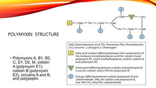POLYMYXIN STRUCTURE
• Polymyxins A, B1, B2,
C, D1, D2, M, colistin
A (polymyxin E1),
colistin B (polymyxin
E2), circulins A and B,
and polypeptin.
 
