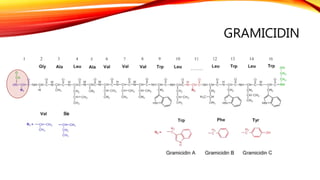 GRAMICIDIN
 