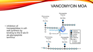 VANCOMYCIN MOA
• inhibition of
transpeptidase in cell-
wall synthesis by
binding to the D-ala-D-
ala glycopeptide
terminus
 