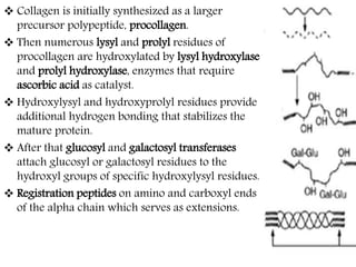  Collagen is initially synthesized as a larger
precursor polypeptide, procollagen.
 Then numerous lysyl and prolyl residues of
procollagen are hydroxylated by lysyl hydroxylase
and prolyl hydroxylase, enzymes that require
ascorbic acid as catalyst.
 Hydroxylysyl and hydroxyprolyl residues provide
additional hydrogen bonding that stabilizes the
mature protein.
 After that glucosyl and galactosyl transferases
attach glucosyl or galactosyl residues to the
hydroxyl groups of specific hydroxylysyl residues.
 Registration peptides on amino and carboxyl ends
of the alpha chain which serves as extensions.
 
