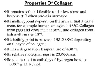 Properties Of Collagen
It remains soft and flexible under low stress and
become stiff when stress is increased.
Its melting point depends on the animal that it came
from, for example human collagen is 48°C. Collagen
from pigs and cows melt at 38°C, and collagen from
fish melts under 18°C
It’s boiling point is between 198-228°C depending
on the type of collagen.
It has a degradation temperature of 438 °C
Its relative molecular mass is 28,000amu.
Bond dissociation enthalpy of Hydrogen bond is
−393.7 ± 1.5 kJ/mol.
 