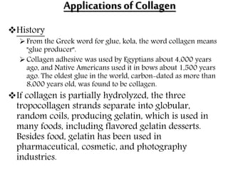 Applications of Collagen
History
From the Greek word for glue, kola, the word collagen means
"glue producer".
Collagen adhesive was used by Egyptians about 4,000 years
ago, and Native Americans used it in bows about 1,500 years
ago. The oldest glue in the world, carbon-dated as more than
8,000 years old, was found to be collagen.
If collagen is partially hydrolyzed, the three
tropocollagen strands separate into globular,
random coils, producing gelatin, which is used in
many foods, including flavored gelatin desserts.
Besides food, gelatin has been used in
pharmaceutical, cosmetic, and photography
industries.
 