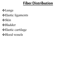Fiber Distribution
Lungs
Elastic ligaments
Skin
Bladder
Elastic cartilage
Blood vessels
 