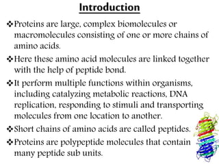 Introduction
Proteins are large, complex biomolecules or
macromolecules consisting of one or more chains of
amino acids.
Here these amino acid molecules are linked together
with the help of peptide bond.
It perform multiple functions within organisms,
including catalyzing metabolic reactions, DNA
replication, responding to stimuli and transporting
molecules from one location to another.
Short chains of amino acids are called peptides.
Proteins are polypeptide molecules that contain
many peptide sub units.
 