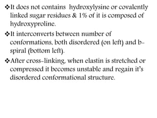 It does not contains hydroxylysine or covalently
linked sugar residues & 1% of it is composed of
hydroxyproline.
It interconverts between number of
conformations, both disordered (on left) and b-
spiral (bottom left).
After cross-linking, when elastin is stretched or
compressed it becomes unstable and regain it’s
disordered conformational structure.
 