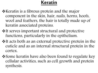 Keratin
Keratin is a fibrous protein and the major
component in the skin, hair, nails, horns, hoofs,
wool and feathers, the hair is totally made up of
keratin associated proteins.
It serves important structural and protective
functions, particularly in the epithelium.
It acts both as an external protective protein in the
cuticle and as an internal structural protein in the
cortex.
Some keratin have also been found to regulate key
cellular activities, such as cell growth and protein
synthesis.
 