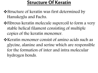 Structure Of Keratin
Structure of keratin was first determined by
Hanukoglu and Fuchs.
Fibrous keratin molecule supercoil to form a very
stable helical filament consisting of multiple
copies of the keratin monomer.
Keratin monomer consist of amino acids such as
glycine, alanine and serine which are responsible
for the formation of inter and intra molecular
hydrogen bonds.
 