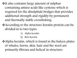 It also contains large amount of sulphur
containing amino acids like cysteine which is
required for the disulphide bridges that provides
additional strength and rigidity by permanent
and thermally stable crosslinking.
According to the structure keratin protein can be
divided in to two types.
1) Alpha keratin
2) Beta keratin
Alpha keratin, which is found in the baleen plates
of whales, horns, skin, hair and the wool are
primarily fibrous and helical in structure.
 