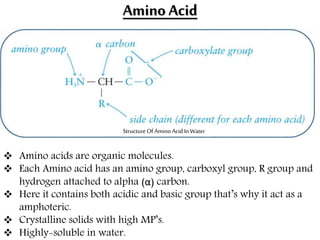 Amino Acid
 Amino acids are organic molecules.
 Each Amino acid has an amino group, carboxyl group, R group and
hydrogen attached to alpha (α) carbon.
 Here it contains both acidic and basic group that’s why it act as a
amphoteric.
 Crystalline solids with high MP’s.
 Highly-soluble in water.
StructureOf AminoAcid InWater
 