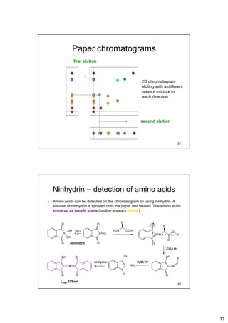11
Paper chromatograms
2D chromatogram
eluting with a different
solvent mixture in
each direction
second elution
first elution
21
Ninhydrin – detection of amino acids
 Amino acids can be detected on the chromatogram by using ninhydrin. A
solution of ninhydrin is sprayed onto the paper and heated. The amino acids
show up as purple spots (proline appears yellow).
O
O
O
O
O
OH
OH
H2O
O
O
N
R
O
O
H
H2N CO2H
R
O
O
N
ROH
O
O
O
N
ninhydrin
-CO2/ H+
ninhydrin H2O / H+
OH
O
NH2
lmax 570nm
22
 