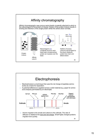 15
Affinity chromatography
Affinity chromatography uses porous resins beads covalently attached to which is
the natural ligand of the protein of interest. Elution of the protein mixture results in
binding and retention of the single protein whilst the others elute normally.
Protein
mixture
Natural ligand ( )
covalently bound to resin
bead traps complementary
protein as it passes over the
bead.
Affinity
column
Addition of excess,
unbound natural ligand to
the eluant displaces
protein from resin and
allows elution.
Add to
eluant here
29
Electrophoresis
 Electrophoresis is a technique that uses the net charge of peptides (amino
acids) as a basis for separation.
 A potential difference is applied across a solid material (e.g. paper for amino
acid analysis) permeated by an electrolyte.
 Anions migrate to the anode and cations to the cathode. The rate of
diffusion is related to the size and net charge. Small highly charged proteins
migrate more quickly.
Cathode Anode
mixture
applied here
cations anions
Lys.Lys Phe.Lys Phe.Asp Asp.Asp Support
material
impregnated
with electrolyte
30
 