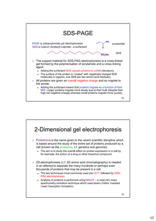 17
SDS-PAGE
PAGE is polyacrylamide gel electrophoresis
SDS is sodium docdecyl sulphate - a surfactant
 The support material for SDS-PAG electrophoresis is a cross-linked
gel formed by the polymerisation of acrylamide and a cross-linking
agent.
 Adding the surfactant SDS causes proteins to unfold (denature).
 The surface of the protein is “coated” with negatively charged SDS
molecules in (approx. one SDS per two amino acid residues).
 All proteins are given an overall negative charge and so migrate to
the anode.
 Adding the surfactant means that proteins migrate as a function of their
MW. Larger proteins migrate more slowly due to their bulk (despite their
high net negative charge) whereas small proteins migrate more quickly.
O
NH2
SO3Na
acrylamide
SDS
33
2-Dimensional gel electrophoresis
 Proteomics is the name given to the recent scientific discipline which
is based around the study of the entire set of proteins produced by a
cell (known as the proteome, c.f. genetics and genome).
 The aim is to study the overall effect on protein expression in a cell by,
for example, the action of a drug or other bioactive compound.
 2D-electrophoresis (c.f. 2D amino acid chromatography) is needed
in an attempt to separate the many hundreds or perhaps even
thousands of proteins that may be present in a cell.
 The two techniques most commonly used are I.E.F. followed by SDS-
PAG electrophoresis.
 Analysis of proteins is performed using MALDI - a new(-ish) mass
spectrometry ionisation technique which uses lasers (Matrix Assisted
Laser Desorption Ionization).
34
 