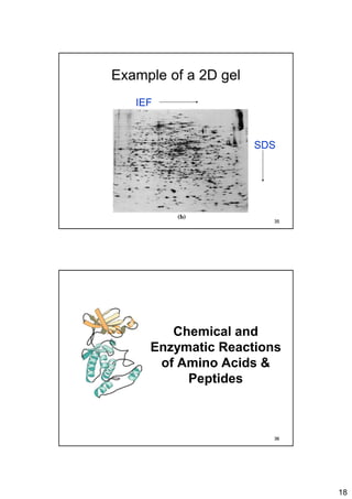 18
Example of a 2D gel
IEF
SDS
35
Chemical and
Enzymatic Reactions
of Amino Acids &
Peptides
36
 