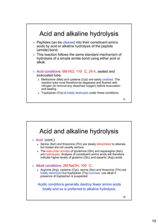 19
Acid and alkaline hydrolysis
 Peptides can be cleaved into their constituent amino
acids by acid or alkaline hydrolysis of the peptide
(amide) bond.
 This reaction follows the same standard mechanism of
hydrolysis of a simple amide bond using either acid or
alkali.
 Acid conditions: 6M HCl, 110 C, 24 h, sealed and
evacuated tube.
 Methionine (Met) and cysteine (Cys) are easily oxidised. The
reaction tube must therefore be degassed and flushed with
nitrogen (to remove any dissolved oxygen) before evacuation
and sealing.
 Tryptophan (Trp) is totally destroyed under these conditions.
37
Acid and alkaline hydrolysis
 Acid: (cont.)
 Serine (Ser) and threonine (Thr) are slowly dehydrated to alkenes
but losses are not usually serious.
 The side-chain amides of glutamine (Gln) and asparagine (Asn)
are hydrolysed. Analysis of constituent amino acids will therefore
indicate higher levels of glutamic (Glu) and aspartic (Asp) acids.
 Alkali conditions: 2M NaOH, 100 C.
 Arginine (Arg), cysteine (Cys), serine (Ser) and threonine (Thr) are
totally destroyed but tryptophan (Trp) survives: use alkali if
presence of tryptophan is suspected.
Acidic conditions generally destroy fewer amino acids
totally and so is preferred to alkaline hydrolysis.
38
 