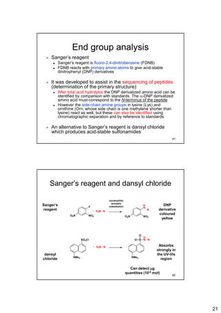 21
End group analysis
 Sanger’s reagent
 Sanger’s reagent is fluoro-2,4-dinitrobenzene (FDNB)
 FDNB reacts with primary amine atoms to give acid-stable
dinitrophenyl (DNP) derivatives
 It was developed to assist in the sequencing of peptides
(determination of the primary structure)
 After total acid hydrolysis the DNP derivatized amino acid can be
identified by comparison with standards. The a-DNP derivatized
amino acid must correspond to the N-terminus of the peptide
 However the side-chain amine groups in lysine (Lys) and
ornithine (Orn, whose side chain is one methylene shorter than
lysine) react as well, but these can also be identified using
chromatographic separation and by reference to standards
 An alternative to Sanger’s reagent is dansyl chloride
which produces acid-stable sulfonamides
41
Sanger’s reagent and dansyl chloride
F
NO2O2N
RH2N
H
N
NO2O2N
R
SO2Cl
NMe2
+
RH2N+
S
NMe2
O
O
H
N R
nucleophilic
aromatic
substitutionSanger’s
reagent
dansyl
chloride
DNP
derivative
coloured
yellow
Absorbs
strongly in
the UV-Vis
region
Can detect mg
quantities (10-8 mol)
42
 