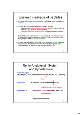 24
Enzymic cleavage of peptides
 Enzymes are protein catalysts used in a very wide range of biological
reactions.
 Enzyme action may be mediated in a variety of ways:
 catalysis of phosphorylation of hydroxyl groups in serine (Ser) or
tyrosine (Tyr) residues of other proteins
 cleavage of peptide (amide) bonds in other peptides or proteins.
 Some biological reactions may be very simple, for example digestion
of proteins and carbohydrates (i.e. food) in the stomach. In this case,
the hydrolysis of bonds is indiscriminate.
 In many cases, however, the action of an enzyme is highly selective,
for example in the activation and deactivation of biologically active
molecules such as hormones and neurotransmitters etc.
47
Renin-Angiotensin System
and Hypertension
Angiotensinogen
Asp.Arg.Val.Tyr.Ile.His.Pro.Phe.His.Leu.Leu.Val.Tyr.Ser…(protein)
Angiotensin I Asp.Arg.Val.Tyr.Ile.His.Pro.Phe.His.Leu
Angiotensin II Asp.Arg.Val.Tyr.Ile.His.Pro.Phe + His.Leu
degradation products
Renin
Angiotensin converting enzyme
Angiotensinase
48
 