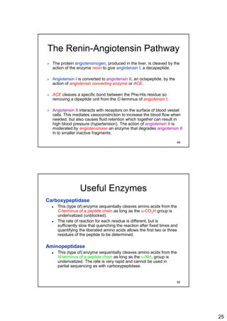 25
The Renin-Angiotensin Pathway
 The protein angiotensinogen, produced in the liver, is cleaved by the
action of the enzyme renin to give angiotensin I, a decapeptide.
 Angiotensin I is converted to angiotensin II, an octapeptide, by the
action of angiotensin converting enzyme or ACE.
 ACE cleaves a specific bond between the Phe-His residue so
removing a dipeptide unit from the C-terminus of angiotensin I.
 Angiotensin II interacts with receptors on the surface of blood vessel
cells. This mediates vasoconstriction to increase the blood flow when
needed, but also causes fluid retention which together can result in
high blood pressure (hypertension). The action of angiotensin II is
moderated by angiotensinase an enzyme that degrades angiotensin II
in to smaller inactive fragments.
49
Useful Enzymes
Carboxypeptidase
 This (type of) enzyme sequentially cleaves amino acids from the
C-terminus of a peptide chain as long as the a-CO2H group is
underivatized (unblocked).
 The rate of reaction for each residue is different, but is
sufficiently slow that quenching the reaction after fixed times and
quantifying the liberated amino acids allows the first two or three
residues of the peptide to be determined.
Aminopeptidase
 This (type of) enzyme sequentially cleaves amino acids from the
N-terminus of a peptide chain as long as the a-NH2 group is
underivatized. The rate is very rapid and cannot be used in
partial sequencing as with carboxypeptidase.
50
 