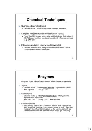 29
Chemical Techniques
 Cyanogen Bromide (CNBr)
 Cleaves on the C-side of methionine residues, MetXaa
 Sanger’s reagent (fluorodinitrobenzene, FDNB)
 ‘Tags’ free NH2 groups before total acid hydrolysis. Dinitrophenyl
(DNP) tagged residues can be compared with reference samples
(e.g. DNP-Gly)
 Edman degradation (phenyl isothiocyanate)
 Cleaves N-terminus as thiohydantoin derivative which can be
compared with reference samples.
57
Enzymes
Enzymes digest (cleave) peptides with a high degree of specificity.
 Trypsin
 Cleaves on the C-side of basic residues - Arginine and Lysine:
Xaa.ArgYaa Xaa.LysYaa
 Chymotrypsin
 Cleaves on the C-side of aromatic residues - Phenylalanine,
Tyrosine and Tryptophan
Xaa.PheYaa Xaa.TyrYaa Xaa.TrpYaa
 Carboxypeptidase
 Sequentially cleaves the C-terminus residue from a peptide as
long as it is the free a-acid (e.g. not an amide or ester). Reaction
rates vary for different amino acids so the enzyme can only be
used to determine a few residues before things get confusing.
58
 