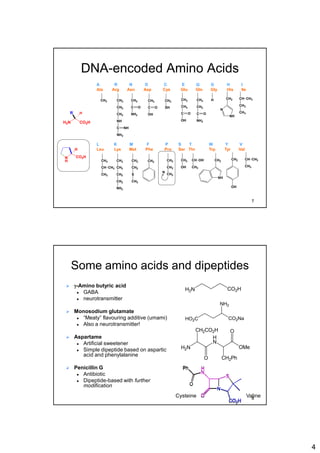4
DNA-encoded Amino Acids
CH3 CH2
CH2
CH2
NH
C
NH2
NH
CH2
C
NH2
O
CH2
C
OH
O
CH2
SH
CH2
CH2
C
OH
O
CH2
CH2
C
NH2
O
H CH2
N
NH
CH CH3
CH2
CH3
CH2
CH CH3
CH3
CH2
CH2
CH2
CH2
NH2
CH2
CH2
S
CH3
CH2
CH2
OH
CH OH
CH3
CH2
NH
CH2
OH
CH CH3
CH3
H2N CO2H
R H
CH2
CH2
CH2
N
N
H
CO2H
H
A R N D C E Q G H I
Ala Arg Asn Asp Cys Glu Gln Gly His Ile
L K M F P S T W Y V
Leu Lys Met Phe Pro Ser Thr Trp Tyr Val
7
Some amino acids and dipeptides
 g-Amino butyric acid
 GABA
 neurotransmitter
 Monosodium glutamate
 “Meaty” flavouring additive (umami)
 Also a neurotransmitter!
 Aspartame
 Artificial sweetener
 Simple dipeptide based on aspartic
acid and phenylalanine
 Penicillin G
 Antibiotic
 Dipeptide-based with further
modification
CO2HH2N
CO2NaHO2C
NH2
H
N
H2N
CH2CO2H
O CH2Ph
O
OMe
N
S
CO2H
H
N
Ph
O
O
N
S
CO2H
H
N
Ph
O
OCysteine Valine8
 