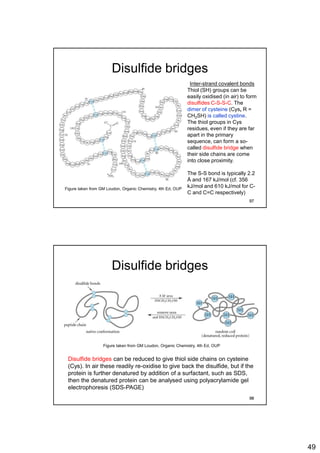 49
Disulfide bridges
Inter-strand covalent bonds
Thiol (SH) groups can be
easily oxidised (in air) to form
disulfides C-S-S-C. The
dimer of cysteine (Cys, R =
CH2SH) is called cystine.
The thiol groups in Cys
residues, even if they are far
apart in the primary
sequence, can form a so-
called disulfide bridge when
their side chains are come
into close proximity.
The S-S bond is typically 2.2
Å and 167 kJ/mol (cf. 356
kJ/mol and 610 kJ/mol for C-
C and C=C respectively)
Figure taken from GM Loudon, Organic Chemistry, 4th Ed, OUP
97
Disulfide bridges
Figure taken from GM Loudon, Organic Chemistry, 4th Ed, OUP
Disulfide bridges can be reduced to give thiol side chains on cysteine
(Cys). In air these readily re-oxidise to give back the disulfide, but if the
protein is further denatured by addition of a surfactant, such as SDS,
then the denatured protein can be analysed using polyacrylamide gel
electrophoresis (SDS-PAGE)
98
 