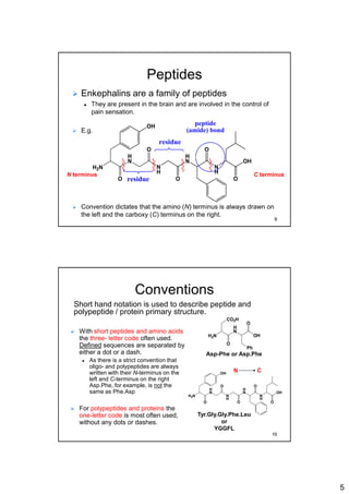 5
Peptides
 Enkephalins are a family of peptides
 They are present in the brain and are involved in the control of
pain sensation.
 E.g.
 Convention dictates that the amino (N) terminus is always drawn on
the left and the carboxy (C) terminus on the right.
H
N
H2N
O
O
N
H
H
N
N
H
OH
O
O
O
OH peptide
(amide) bond
residue
residue
N terminus C terminus
9
Conventions
 With short peptides and amino acids
the three- letter code often used.
Defined sequences are separated by
either a dot or a dash.
 As there is a strict convention that
oligo- and polypeptides are always
written with their N-terminus on the
left and C-terminus on the right
Asp.Phe, for example, is not the
same as Phe.Asp
 For polypeptides and proteins the
one-letter code is most often used,
without any dots or dashes.
H
N
H2N
CO2H
O
Ph
O
OH
Asp-Phe or Asp.Phe
H
N
H2N
O
O
N
H
H
N
N
H
OH
O
O
O
OH
Tyr.Gly.Gly.Phe.Leu
or
YGGFL
Short hand notation is used to describe peptide and
polypeptide / protein primary structure.
N C
10
 