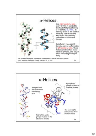 52
a-Helices
In a right handed a-helix
every C=O is H-bonded to
the fourth NH group forming
a so-called 3.613 helix. Its
stability is due to the fact that
the bulky side chains are
kept apart and relatively
unstrained H-bonds are
formed.
Satisfactory repeated H-
bonding cannot be formed in
a left handed a-helix. These
helices are therefore found
rarely in proteins, and only in
short helical segments (~1
turn).
Left figure from the website of the Natural Toxins Research Center at Texas A&M University.
Right figure from GM Loudon, Organic Chemistry, 4th Ed, OUP 103
a-Helices
An alpha helix
with side chains
coloured by
type.
The same alpha
helix viewed down
the helical axis
Hydrophobic
groups situated on
one side of helix
Hydrophilic / polar
groups situated on the
other side of helix 104
 