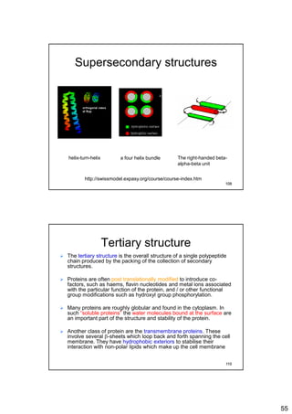 55
Supersecondary structures
helix-turn-helix a four helix bundle The right-handed beta-
alpha-beta unit
http://swissmodel.expasy.org/course/course-index.htm
109
Tertiary structure
 The tertiary structure is the overall structure of a single polypeptide
chain produced by the packing of the collection of secondary
structures.
 Proteins are often post translationally modified to introduce co-
factors, such as haems, flavin nucleotides and metal ions associated
with the particular function of the protein, and / or other functional
group modifications such as hydroxyl group phosphorylation.
 Many proteins are roughly globular and found in the cytoplasm. In
such “soluble proteins” the water molecules bound at the surface are
an important part of the structure and stability of the protein.
 Another class of protein are the transmembrane proteins. These
involve several b-sheets which loop back and forth spanning the cell
membrane. They have hydrophobic exteriors to stabilise their
interaction with non-polar lipids which make up the cell membrane
110
 